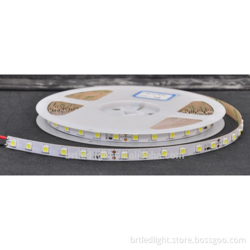12V 24V 5050SMD flexible led strip 2700K led strip lights